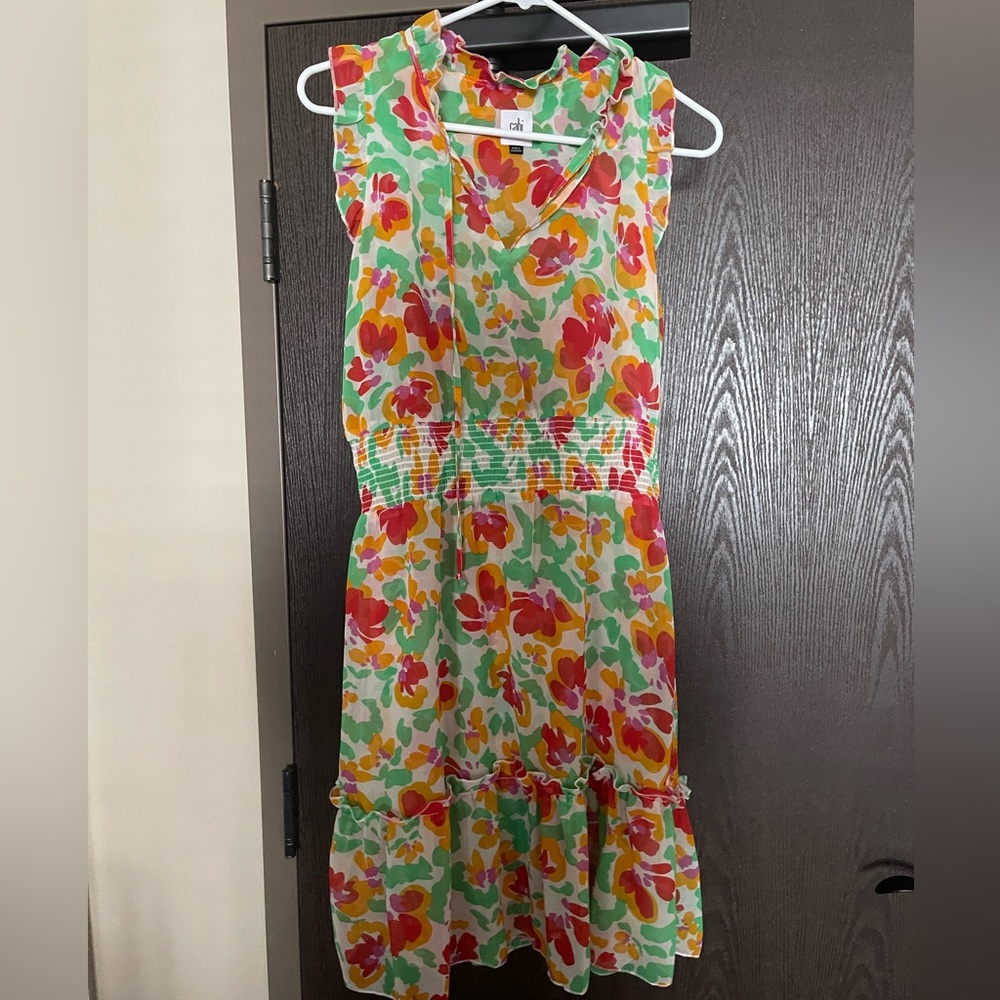 CAbi Floral Sundress 🌸